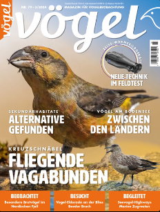 VÖGEL - Magazin Für Vogelbeobachtung - Nr 03 2024